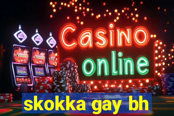 skokka gay bh